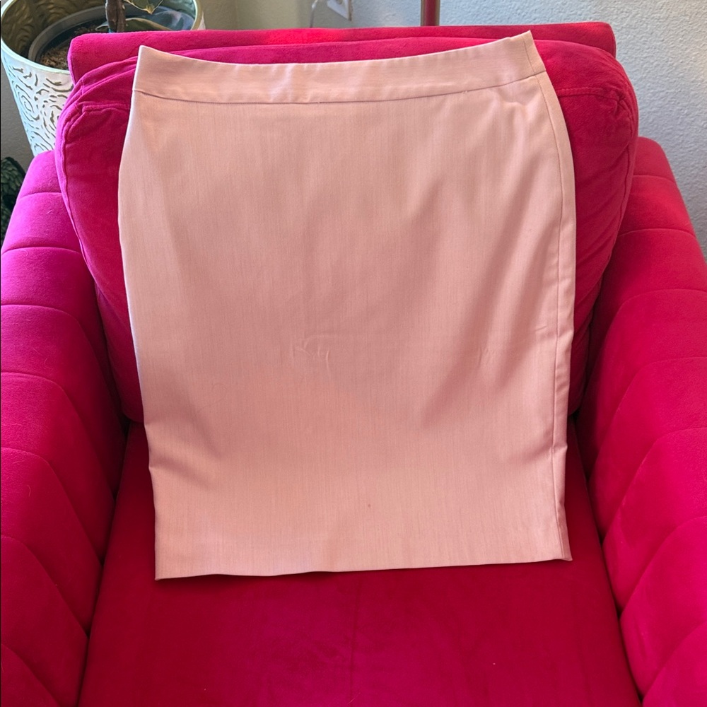 Banana Republic Light Pink Pencil Skirt